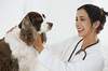 How To Choose A Veterinarian
