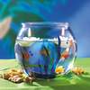 How to Care for Your Fish Bowl